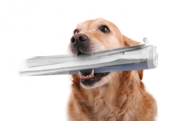 МТС возглавила рейтинг по цифровой безопасности пользователей