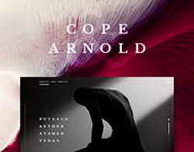 Кабмин до 25 декабря должен представить меры поддержки инфраструктуры в энергетике