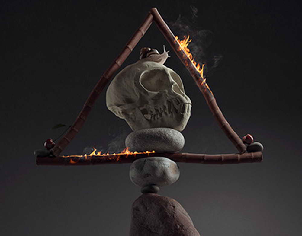 Пётр Власов выпустил книгу про выжившего жирафа Мариуса