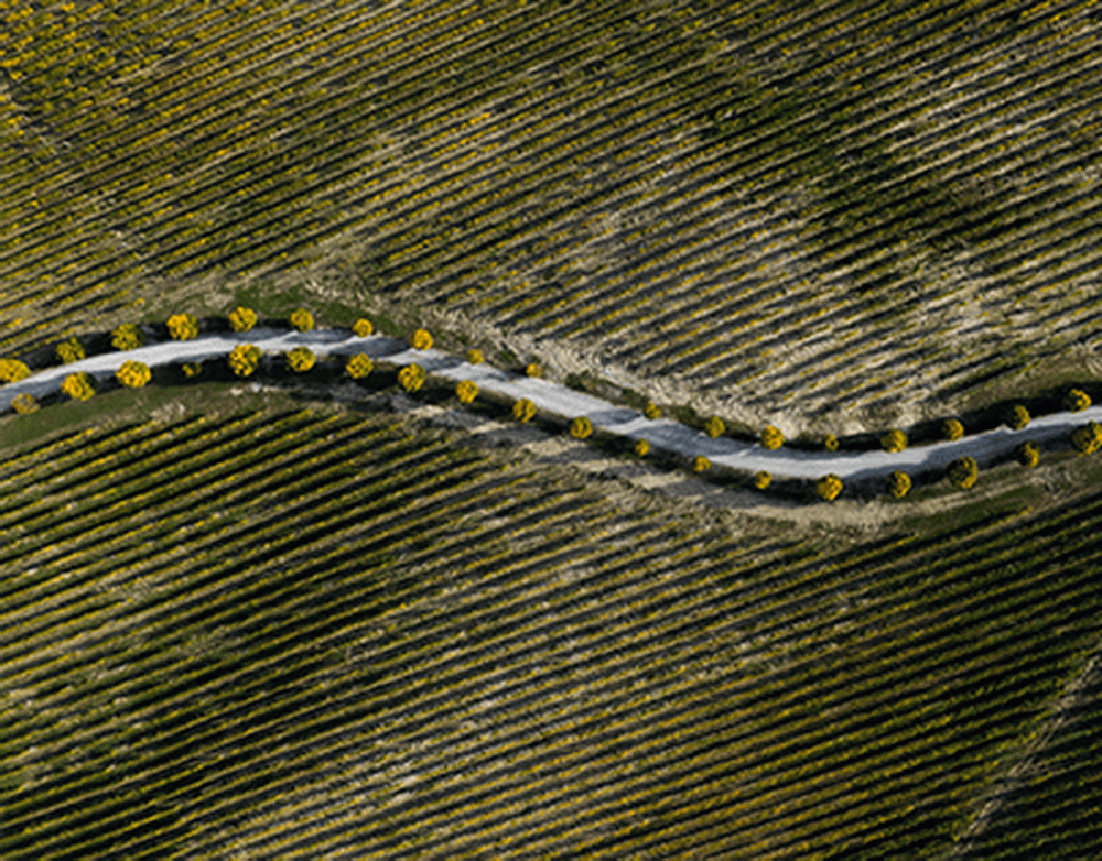 Хаби Алонсо: Мбаппе чувствует себя лучше. Он вернулся из больницы
